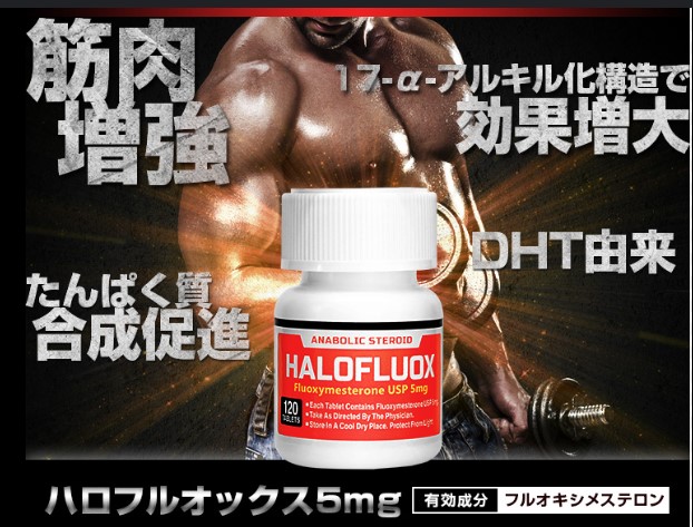 ⚡일본개인수입 1위제품 ⚡ 할로플루옥스 5mg 120정 ⚡단백질 피트니스 보충제⚡