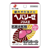 고바야시 가스피탄a 장건강